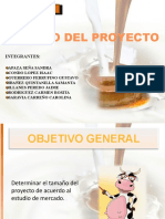 2.-Tamaño Del Proyecto