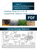 Surface Energy Balance and Climate-Vegetation Interactions