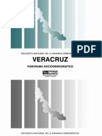 Demografia Veracruz
