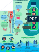 Biología-Agua en El Cuerpo Humano