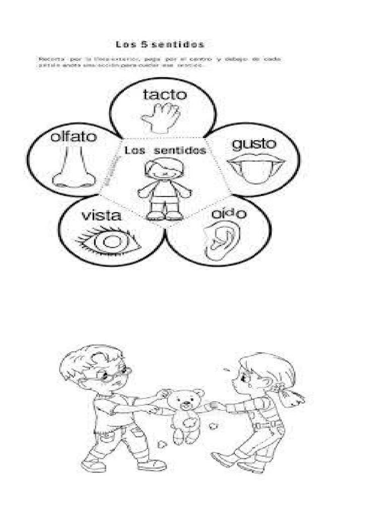 Los 5 Sentidos Pdf