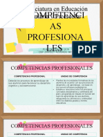 Competencias Profesionales Plan 2018_c226a13e9058409192717a3174f9afcd
