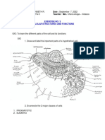 Cell Lab Exercises