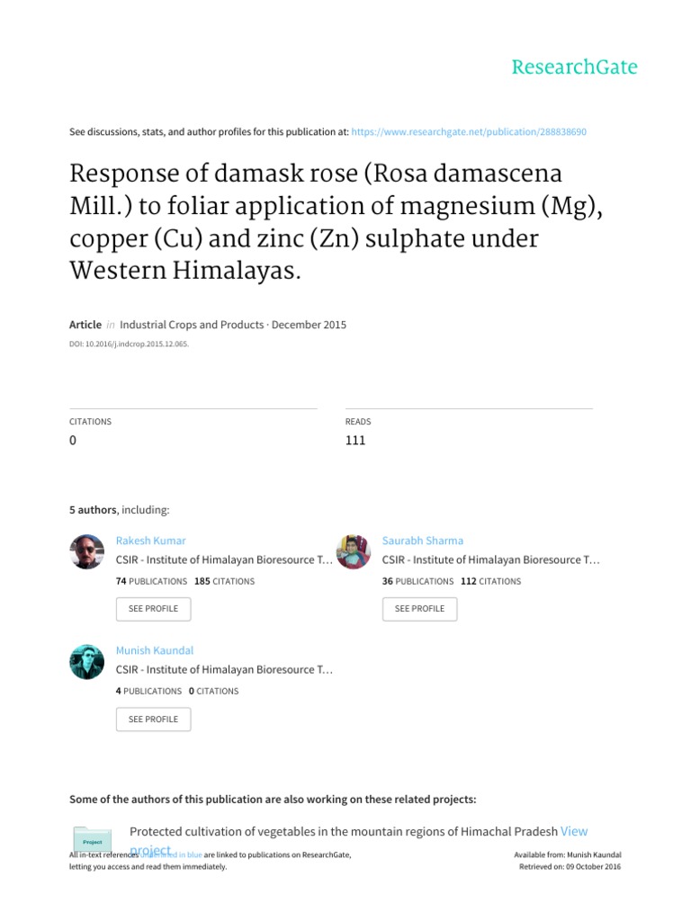 Kumar Et Al. - 2016 - Response of Damask Rose (Rosa Damascena Mill.) To ...