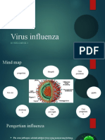 Influenza 3.0