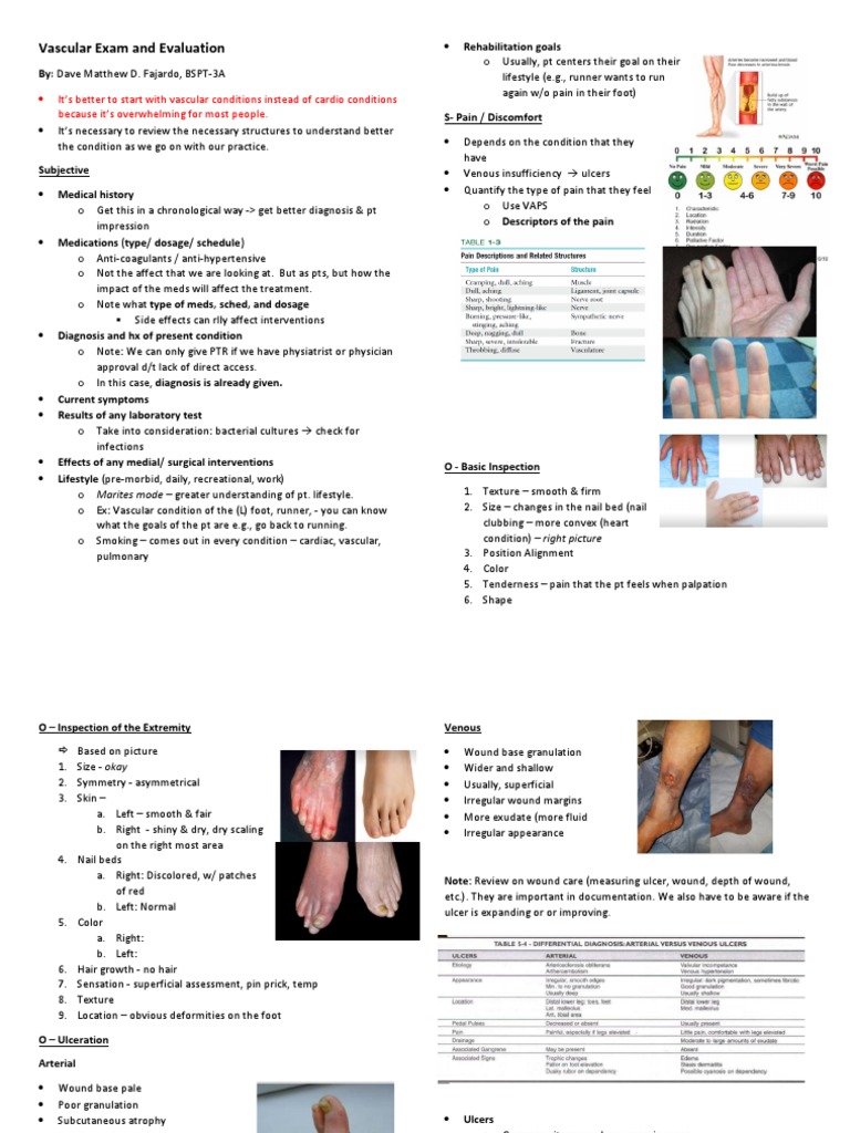 Vascular Examination Techniques | PDF | Pulse | Vein