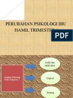 Perubahan Psikologi Ibu Hamil TM 1