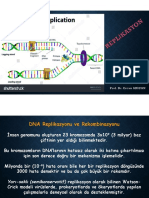 Replikasyon 17