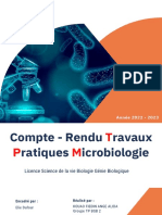 Rapport TP Microbiologie