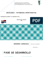 Patógenos oportunistas: Candida, Cryptococcus y Aspergillus