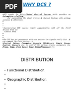 DCS Control System