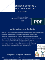 Pogl.4-Prepoznavanje Antigena U Stečenoj Imunosti