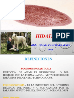 2PPT HIDATIDOSIS