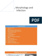 Lecture 6 Virus Morphology and Infection