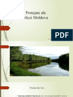 Ariile Protejate ale Republicii Moldova