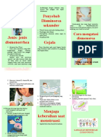 Leaflet Dismenore