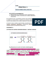 Protocolo Práctica 5. Oxidaciones Biologicas - MD