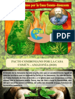 Pacto Comboniano Por La Casa Común - Amazonía