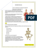 Actividad 1 Asíncrona - ANATOMIA