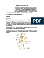 Aparato Locomotor