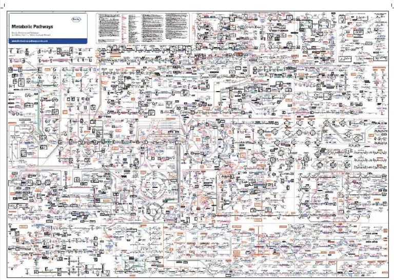 Biochemical Plan 1 Neu 20180125 A0 Print PDF | PDF