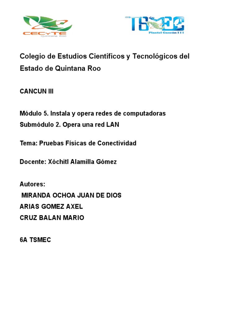 Pruebas de Conectividad en LAN TSMEC | PDF | Protocolos de internet ...