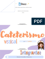 Cateterismo Vesical Enfermeria Basica 190239 Downloable 624187