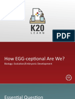 Lesson Slides How EGG Ceptional Are We Biology