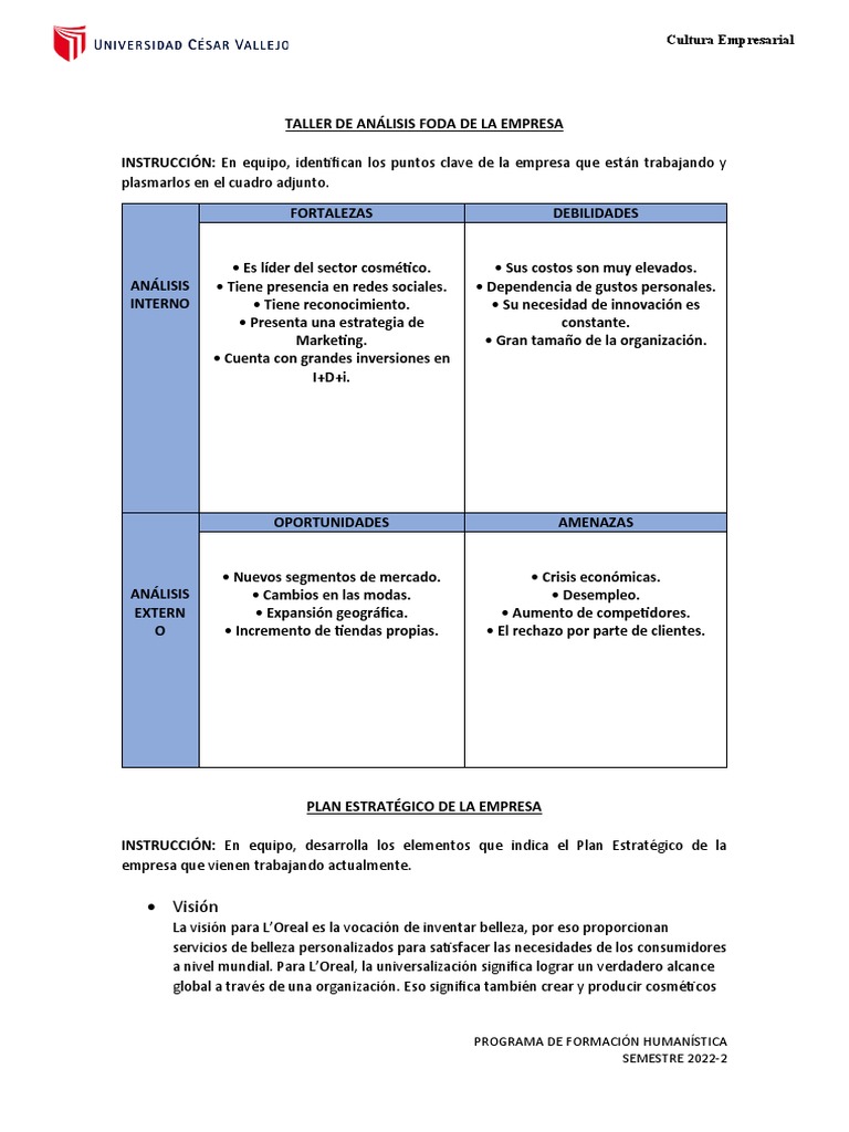 Ficha de Analisis Foda - Plan Estrategico | PDF | Business ...