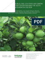 4160 4872 Manejo Integral Del Cultivo de Limón Mexicano en Un Escenario de Alta Incidencia de HLB