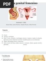 Partes de la Salpinge y Anatomía Asociada | PDF | Ovario | Pelvis