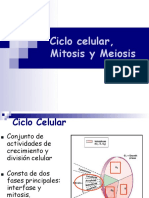 Tema 4-5 Ciclo Celular Mitosis Meiosis