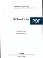 Mammals of Iraq