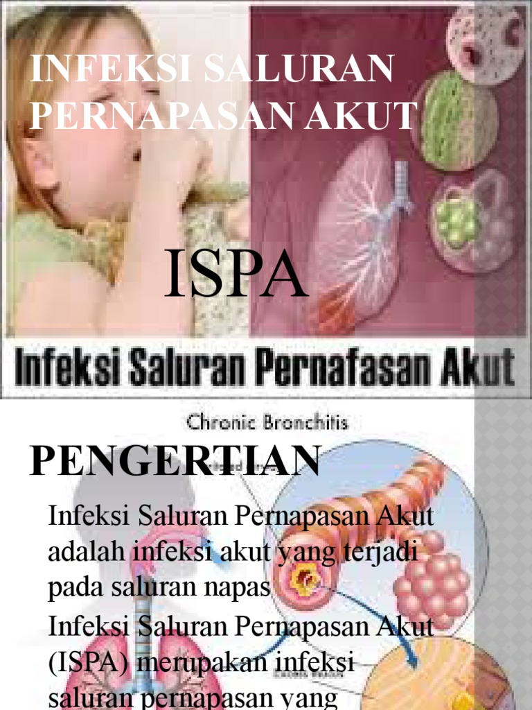 ispa stockx