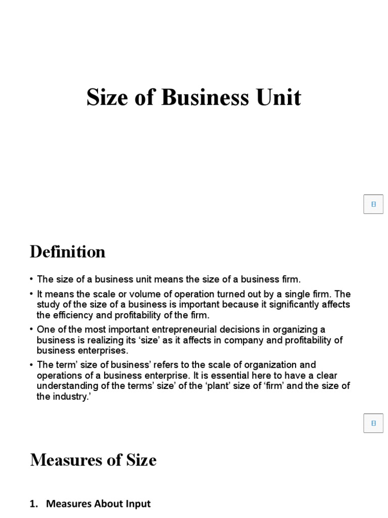 Understanding Business Unit Size Factors | PDF | Output (Economics ...