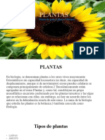 Plantas: tipos y características principales
