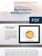 O olho humano, defeitos de visão e anatomia do sistema visual