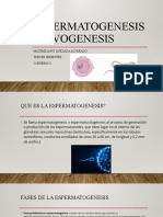 Espermatogenesis y Ovogenesis