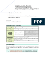 Anatomía - Generalidades Miembro Superior