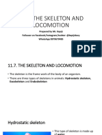 11.7. The Skeleton and Locomotion