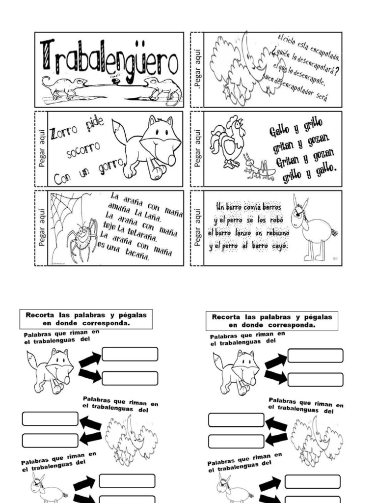 Actividades Mapaches PDF