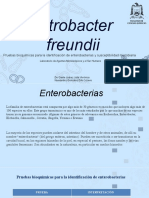 PRESENTACIÓN - Citrobacter Freundii