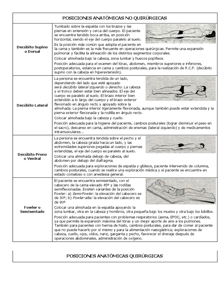 Posiciones Anatómicas del Paciente | PDF | Términos anatómicos de ...