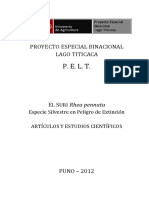 Suri Pelt PDF