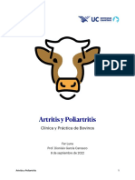 Artritis y poliartritis en bovinos: causas, signos y diagnóstico