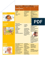 Órganos de Los Sentidos