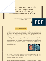 Evaluacion de La Funcion Renal, Diagnostico y Clasificacion de La Erc