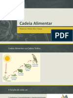 Cadeia Alimentar