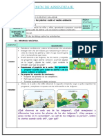 TUTORIA Cuidando Las Plantas Cuido El Medio Ambiente