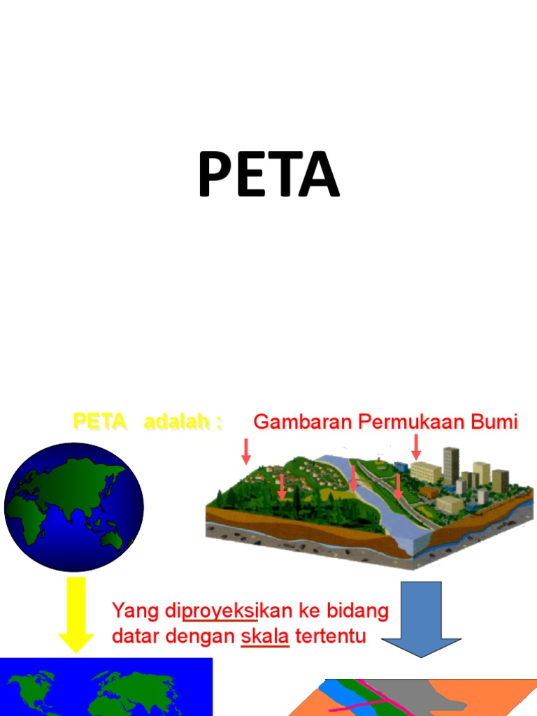 PETA | PDF
